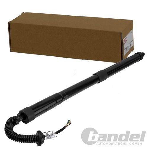 Nty gasfeder heckklappe - gasfeder,