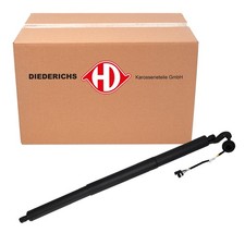 DIEDERICHS Heckklappendämpfer